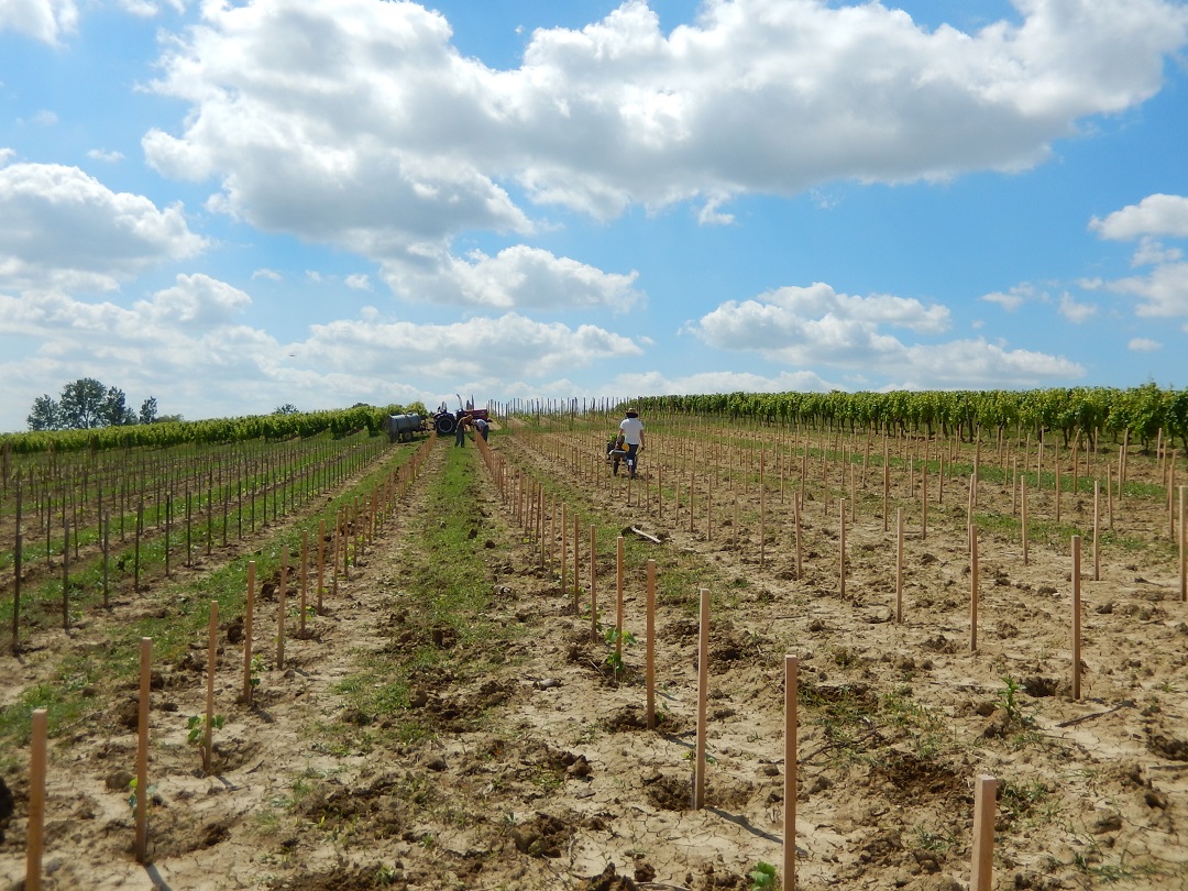 Plantation_Malbec_sm