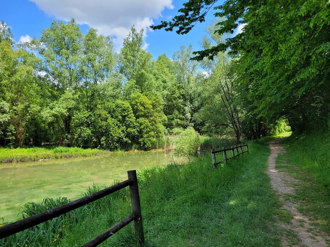 Spazierweg Lac de L'Escourou
