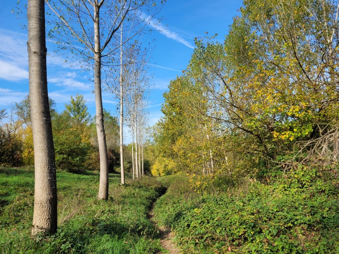 Fussweg-flussaue-dordogne-limeuil-plage-bac-de-sors fussweg-limeuil-plage-bac-de-sorce