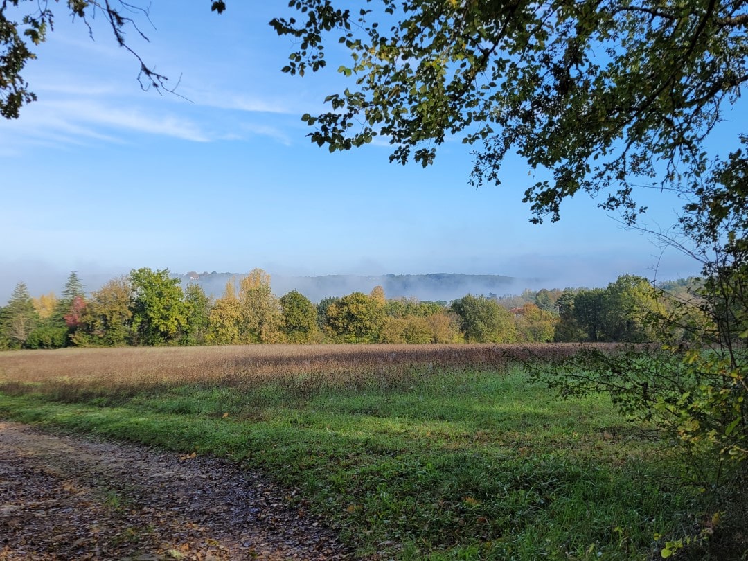 anhöhe-lanquais Nebel auf Abstand