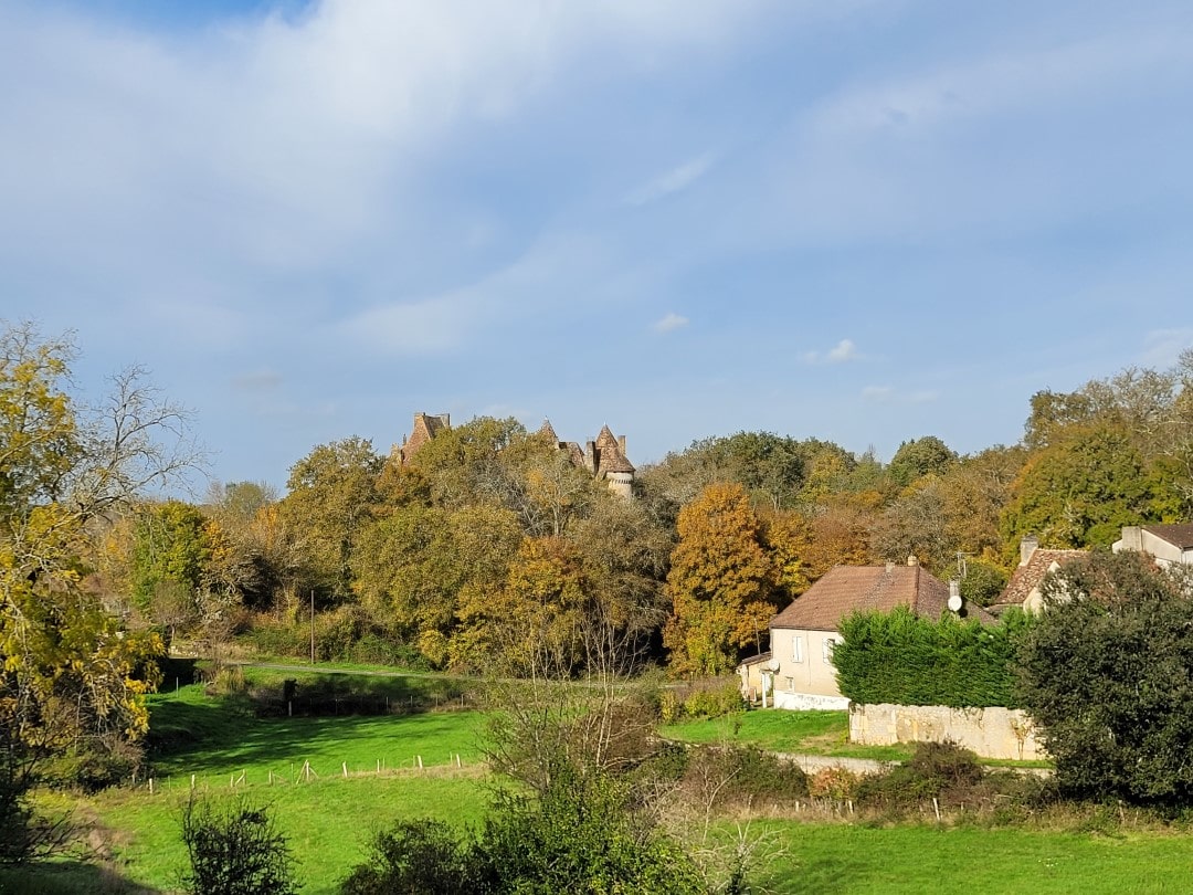 blick-auf-lanquais Blick auf Chateau Lanquais vom Wald aus