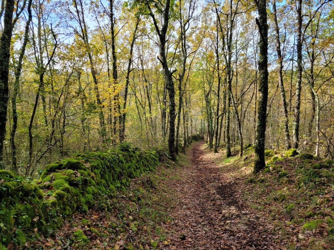 waldweg-lanquais02 Von Trockensteinmäuerchen gesäumte Waldwege