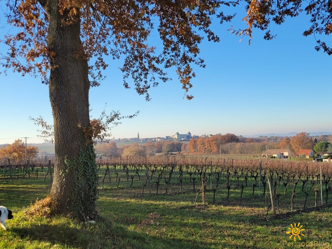 wanderung-gageac-et-rouillac13 Weitblick-gageac-et-rouillac-wanderung