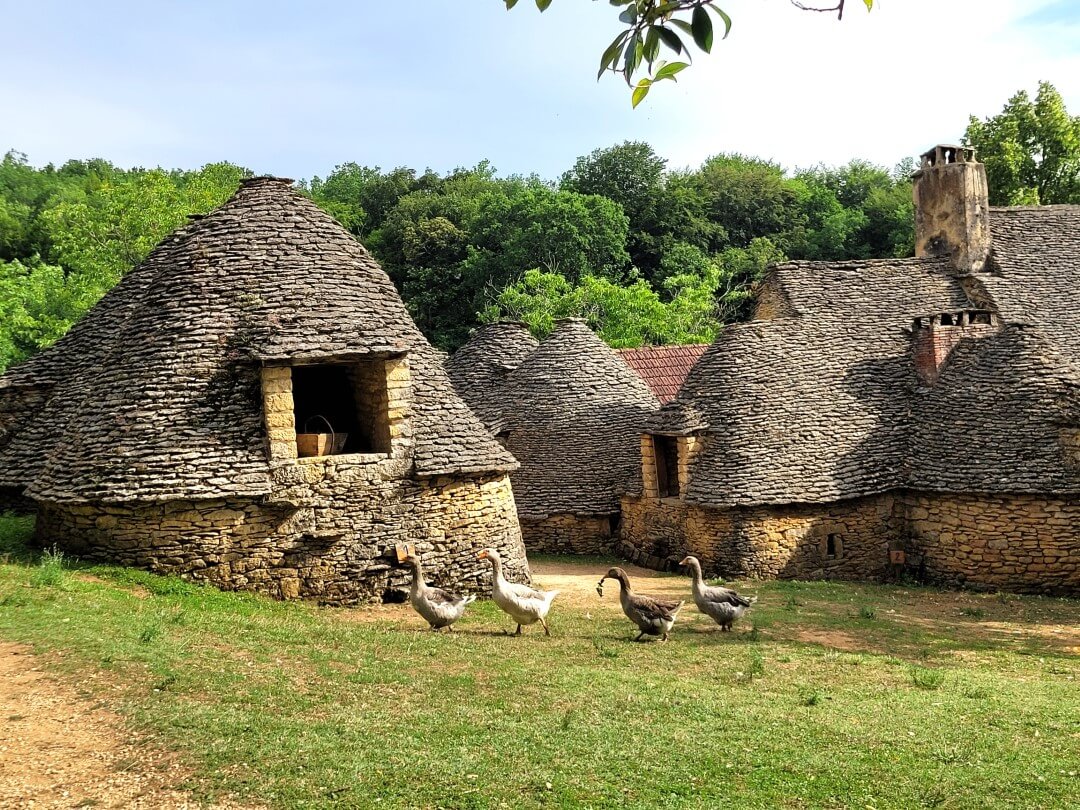gänse bei cabanes du breuil