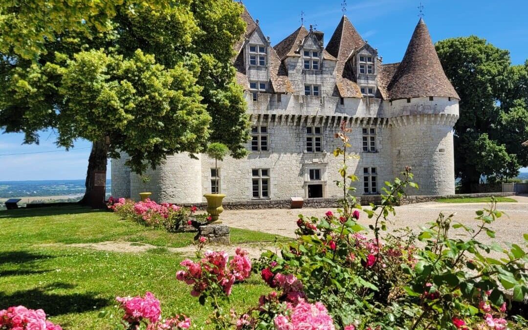 Monbazillac besuchen wie die Einheimischen: Weinberge, Schloss und Sommerabende  